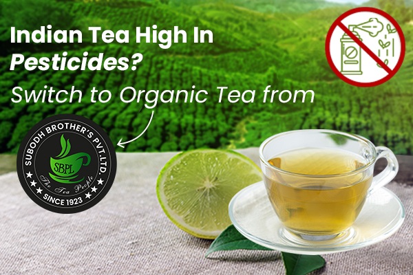 Indian Tea High In Pesticides? Switch to Organic Tea from Subodh Brothers!